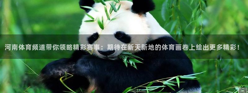 西瓜看球官网：河南体育频道带你领略精彩赛事：期待在新天新地的体育画卷上绘出更多精彩！