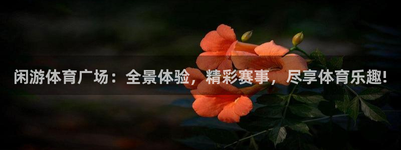 西瓜看球直播app：闲游体育广场：全景体验，精彩赛事，尽享体育乐趣!