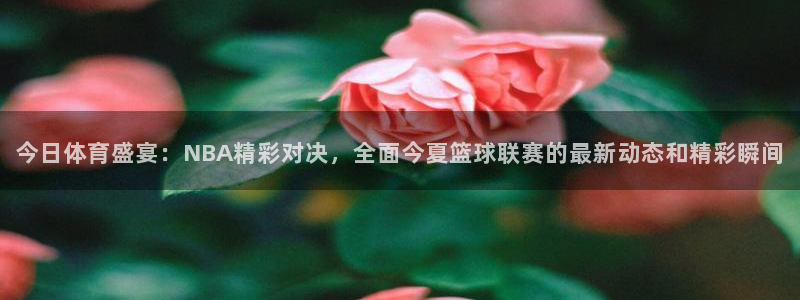 西瓜看球苹果版：今日体育盛宴：NBA精彩对决，全面今夏篮球联赛的最新动态和精彩瞬间
