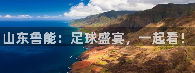 西瓜看球直播app下载：山东鲁能：足球盛宴，一起看！