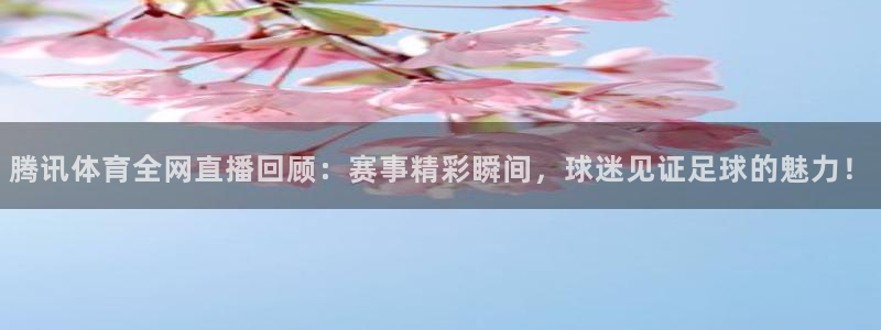 nba西瓜看球