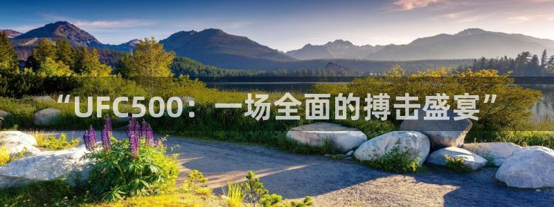 西瓜看球在线观看