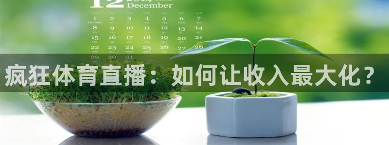 西瓜看球网页版