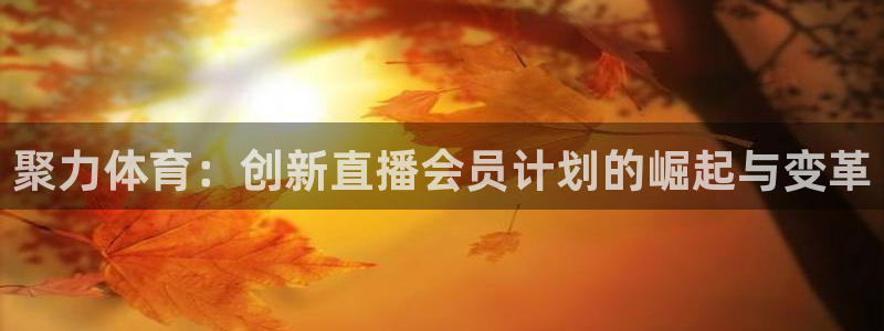 西瓜看球在线观看免费