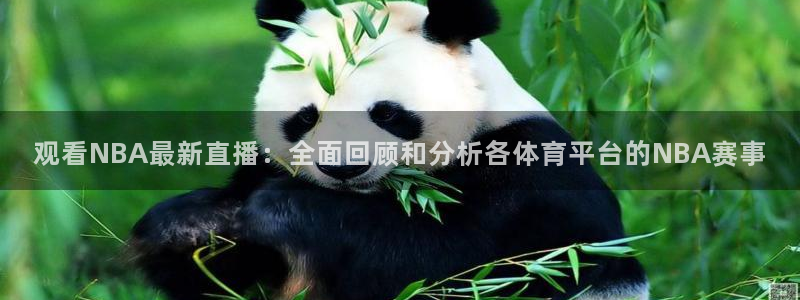 西瓜看球在线：观看NBA最新直播：全面回顾和分析各体育平台的NBA赛事